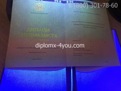 Диплом о высшем образовании с отличием 2012-2013 годов, образец-4